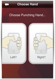 Punch-O-Meter