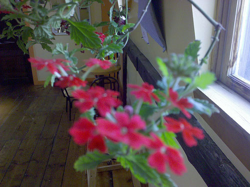 Foto com Droid Foto com Droid