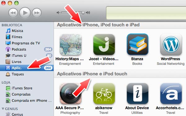 Novo iTunes 9.1